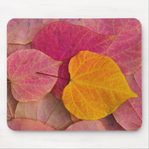 Fall color on Forest Pansy Redbud fallen Mouse Pad