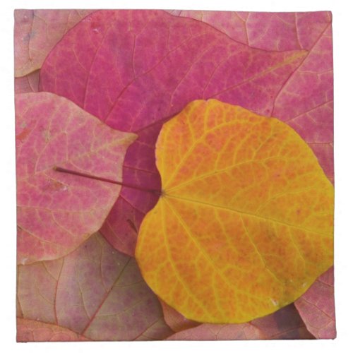 Fall color on Forest Pansy Redbud fallen Napkin