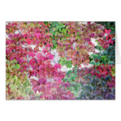 Fall colored leaves cards (Front Horizontal)