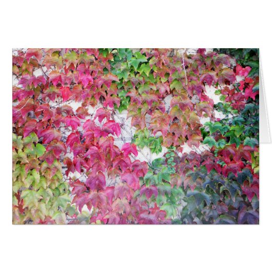 Fall colored leaves cards (Front Horizontal)