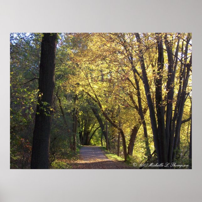 Fall Colored Trail Canvas Print (Front)