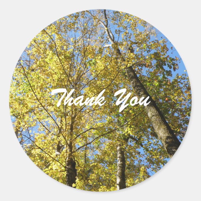 Fall Colored Tree Thank You Stickers