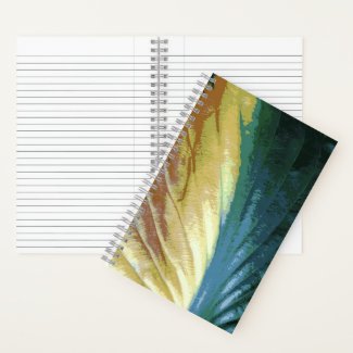 Fall Colorful Leaf Photo, Green Yellow Brown Color
