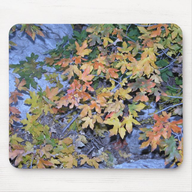 Fall Colors 1 Mouse Pad (Front)