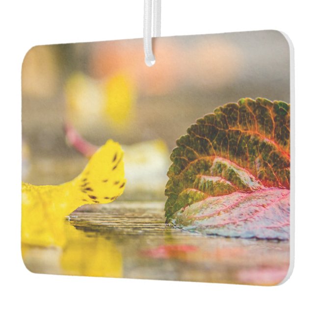 Fall colors air freshener (Left)