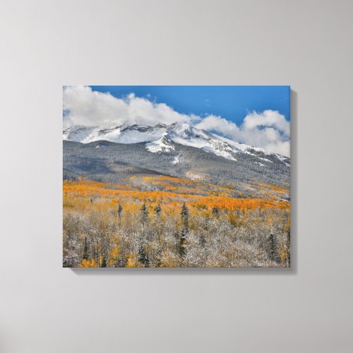 Fall Colors Aspens    Rocky Mountains Colorado Canvas Print