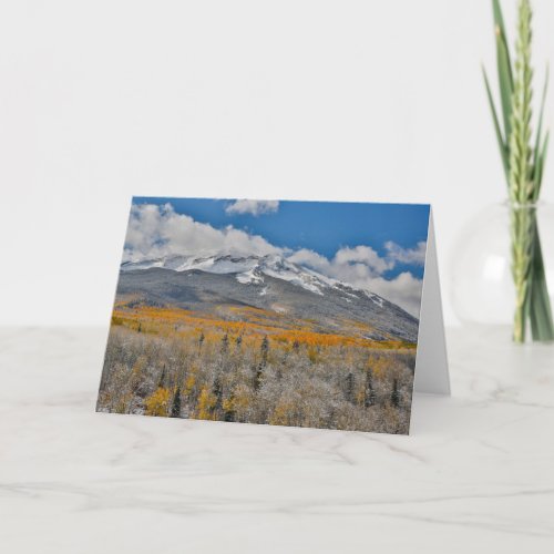 Fall Colors Aspens    Rocky Mountains Colorado Card