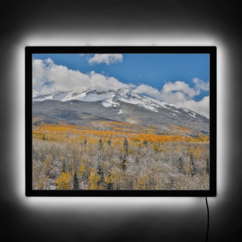 Fall Colors Aspens    Rocky Mountains Colorado LED Sign