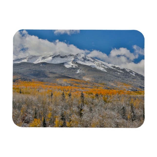Fall Colors Aspens &  | Rocky Mountains, Colorado Magnet (Horizontal)