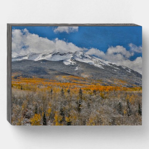 Fall Colors Aspens    Rocky Mountains Colorado Wooden Box Sign