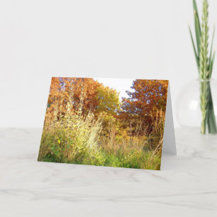 Fall Colors at Charter Oak Park, Peoria, IL Card