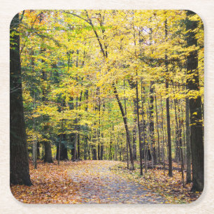 Fall Colors at Cuyahoga Valley National Park Square Paper Coaster