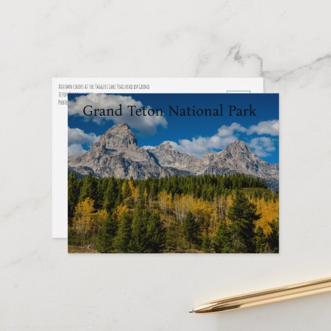 Fall Colors at Grand Teton National Park Postcard (Front/Back In Situ)