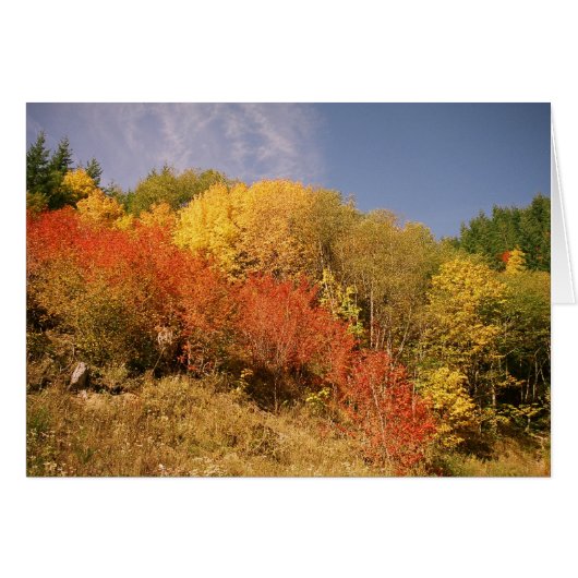 Fall Colors at Mt. Hood (Front Horizontal)