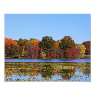 Fall colors at the wildlife refuge photo print