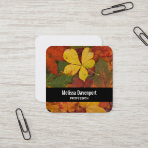 Fall Colors Autumn Leaves Photograph Square Business Card