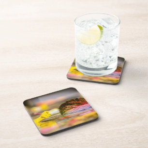 Fall colors beverage coaster