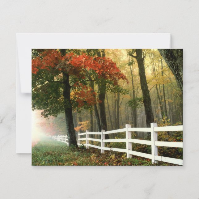 Fall Colors Bible Verse Encouragement Card (Front)