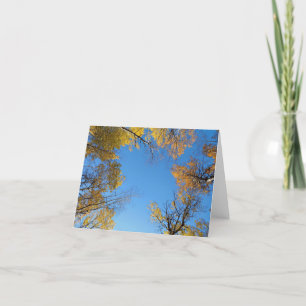 Fall colors blank notecard