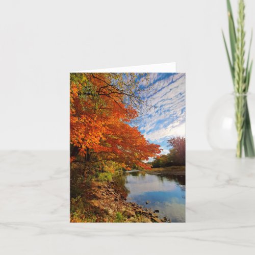 Fall colors blank notecard