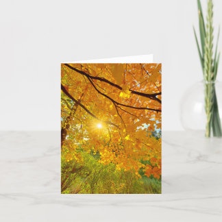 Fall colors blank notecard