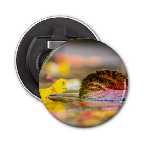 Fall colors bottle opener