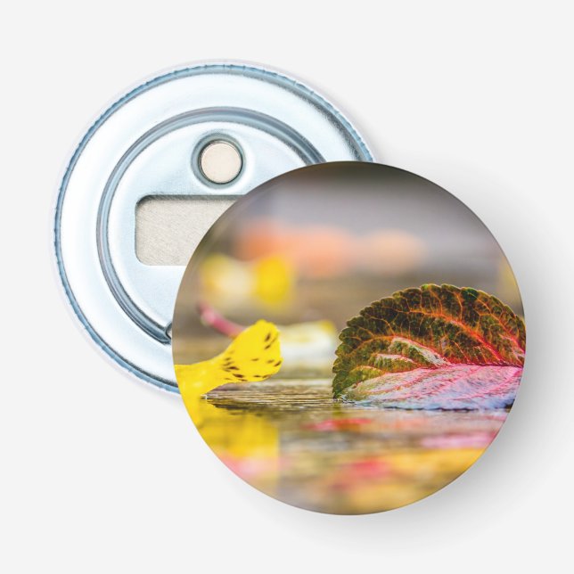 Fall colors bottle opener (Front)