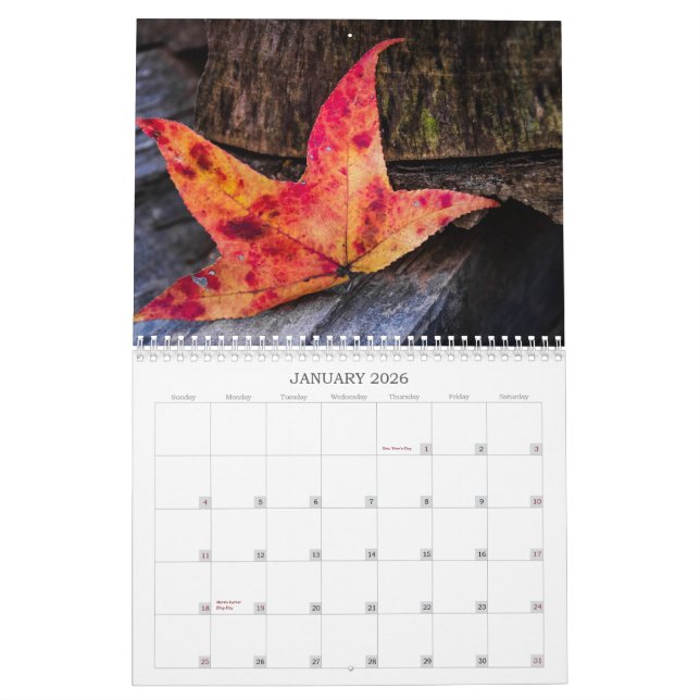 Fall Colors Calendar (Jan 2026)