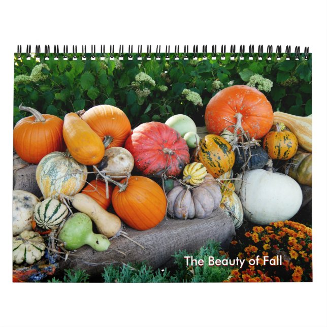 Fall Colors Calendar (Cover)