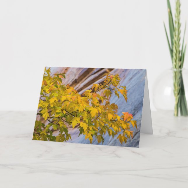 Fall Colors Card (Front)