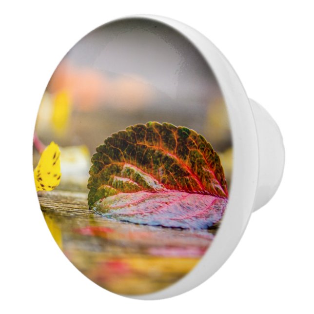 Fall colors ceramic knob (Right)