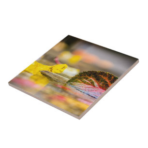 Fall colors ceramic tile