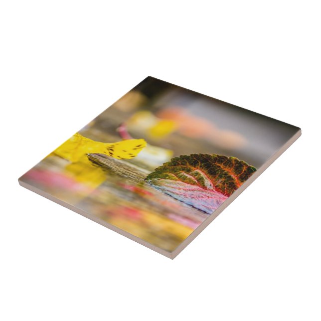 Fall colors ceramic tile (Side)