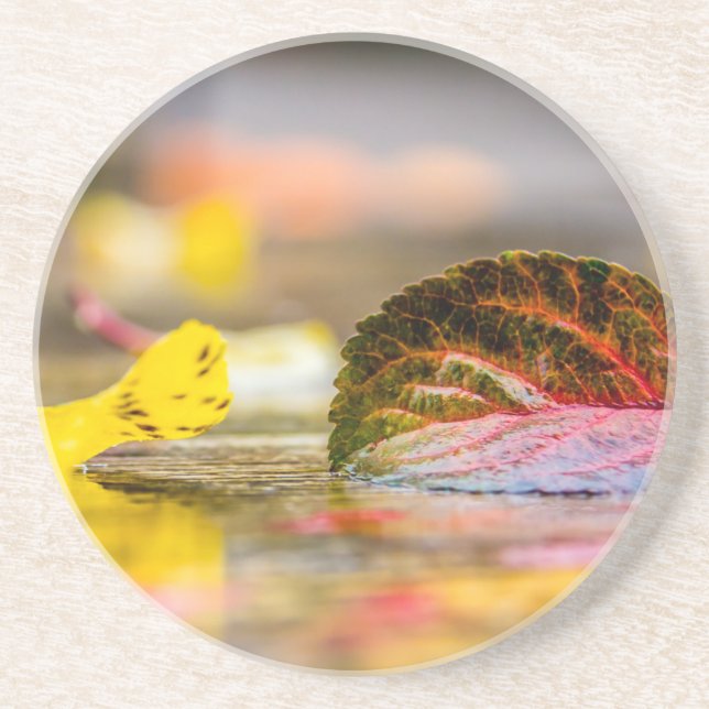 Fall colors coaster (Front)