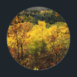 Fall Colors Coaster Set<br><div class="desc">Fall Colors</div>