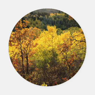 Fall Colors Coaster Set