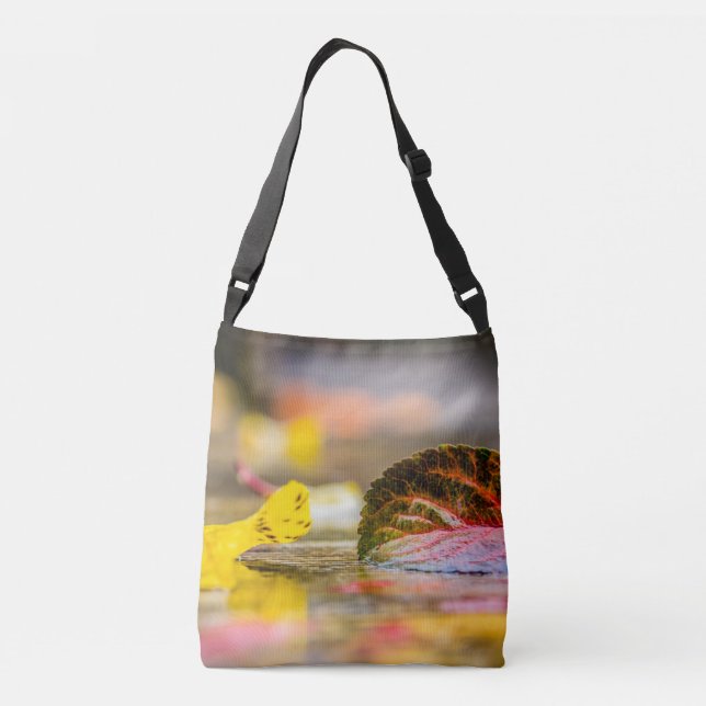 Fall colors crossbody bag (Back)