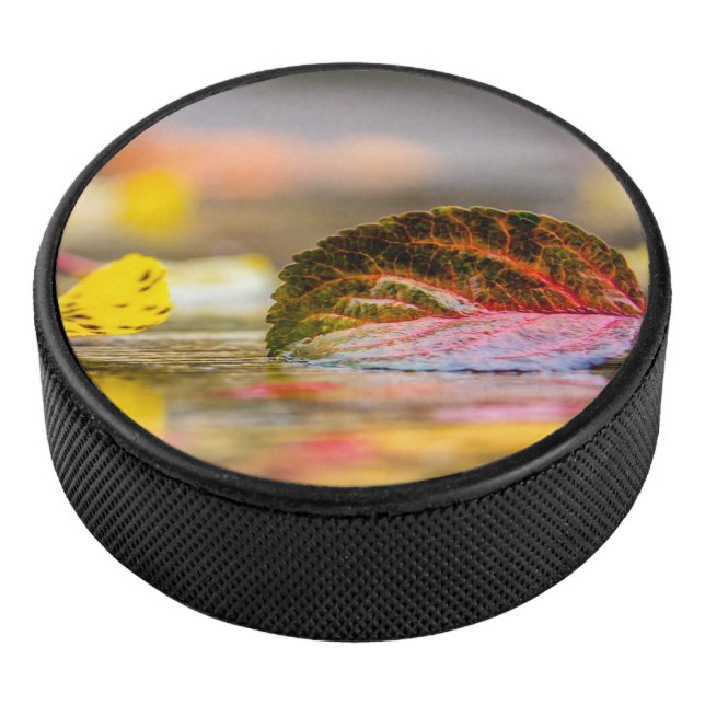 Fall colors hockey puck (3/4)