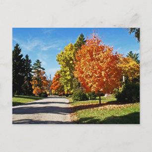 Fall Colors in Cincinnati Postcard