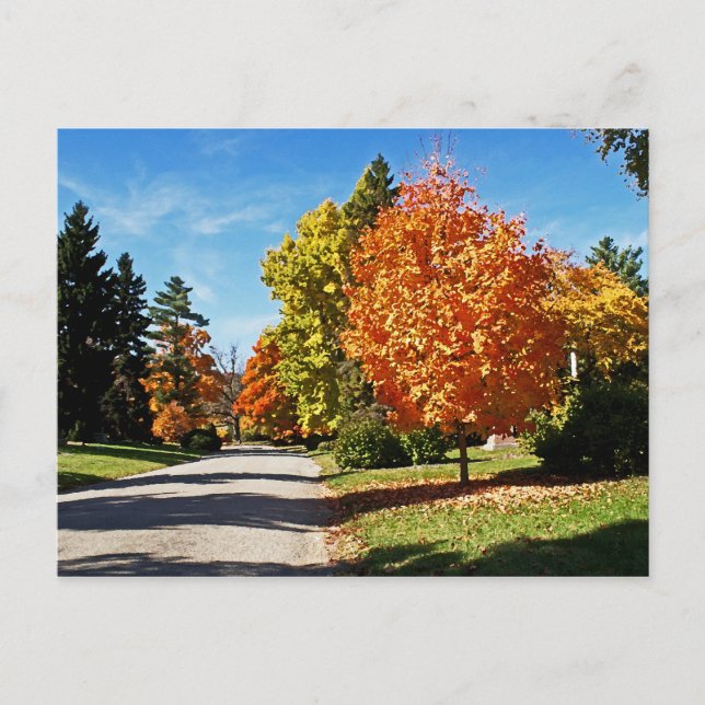 Fall Colors in Cincinnati Postcard (Front)