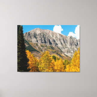 Fall Colors in Crested Butte, Coloraado Canvas Print