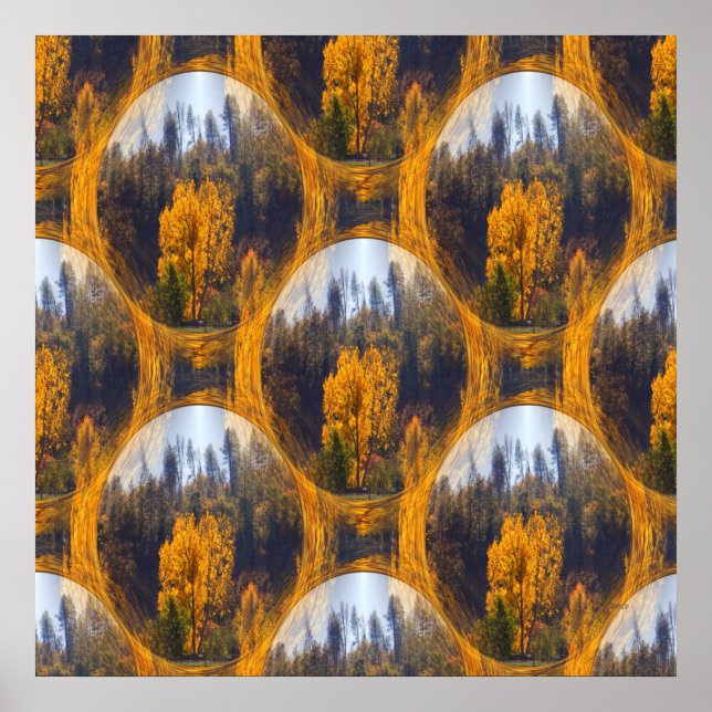 Fall colors in Hayfork... Poster (Front)