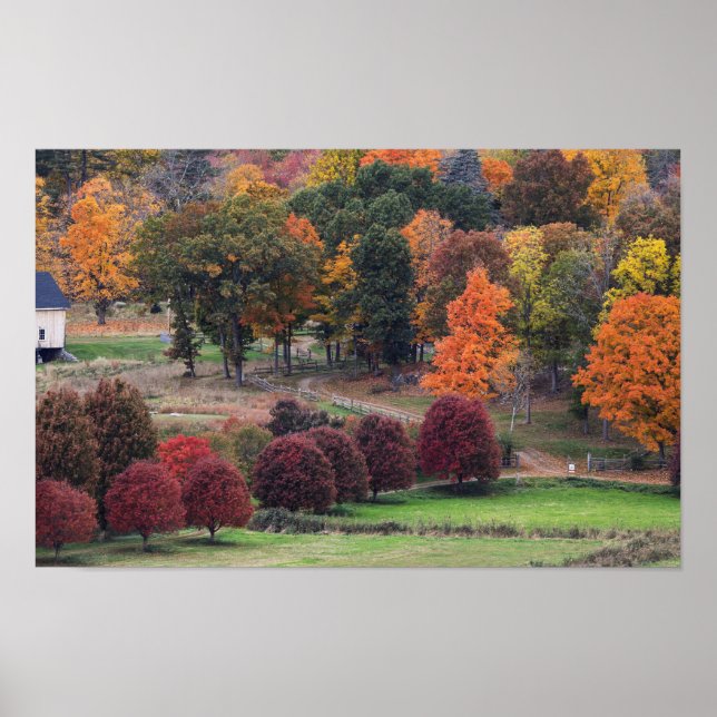 Fall Colors in Massachusetts  Poster (Front)