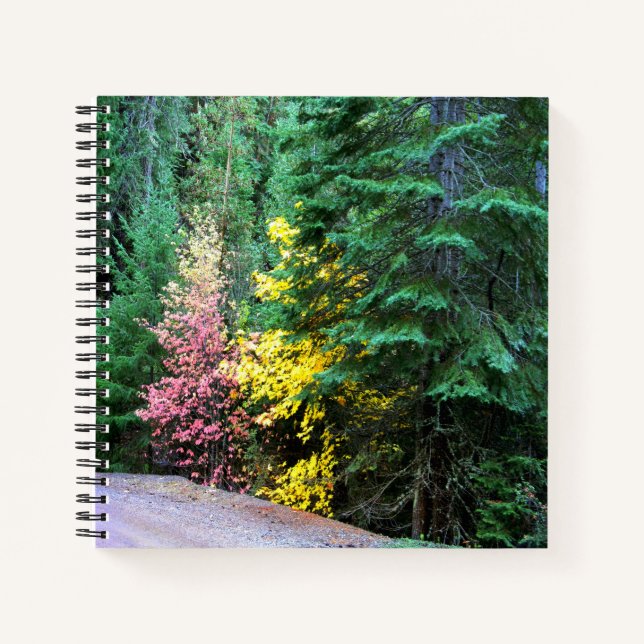 Fall colors in the mountains.... notebook (Front)