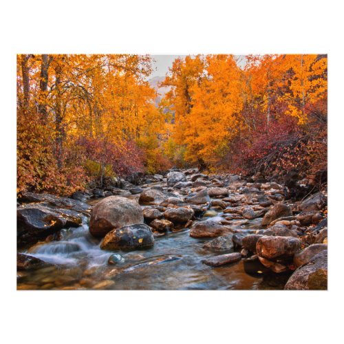 Fall Colors in the Ruby Mountains Photo Print