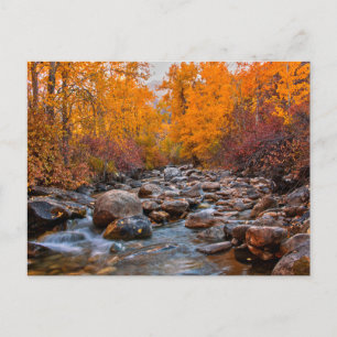 Fall Colors in the Ruby Mountains Postcard