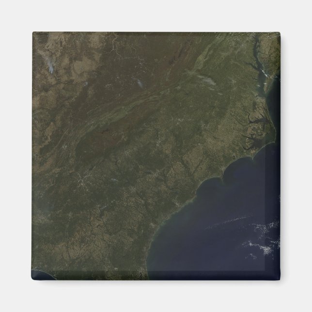 Fall colors in the southeastern United States Magnet (Front)