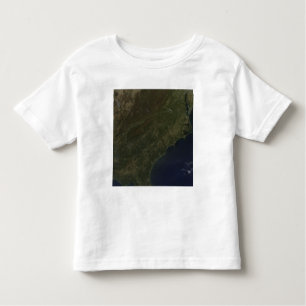 Fall colors in the southeastern United States Toddler T-shirt
