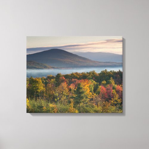 Fall Colors in the White Mountains Canvas Print