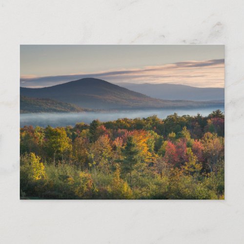 Fall Colors in the White Mountains Postcard